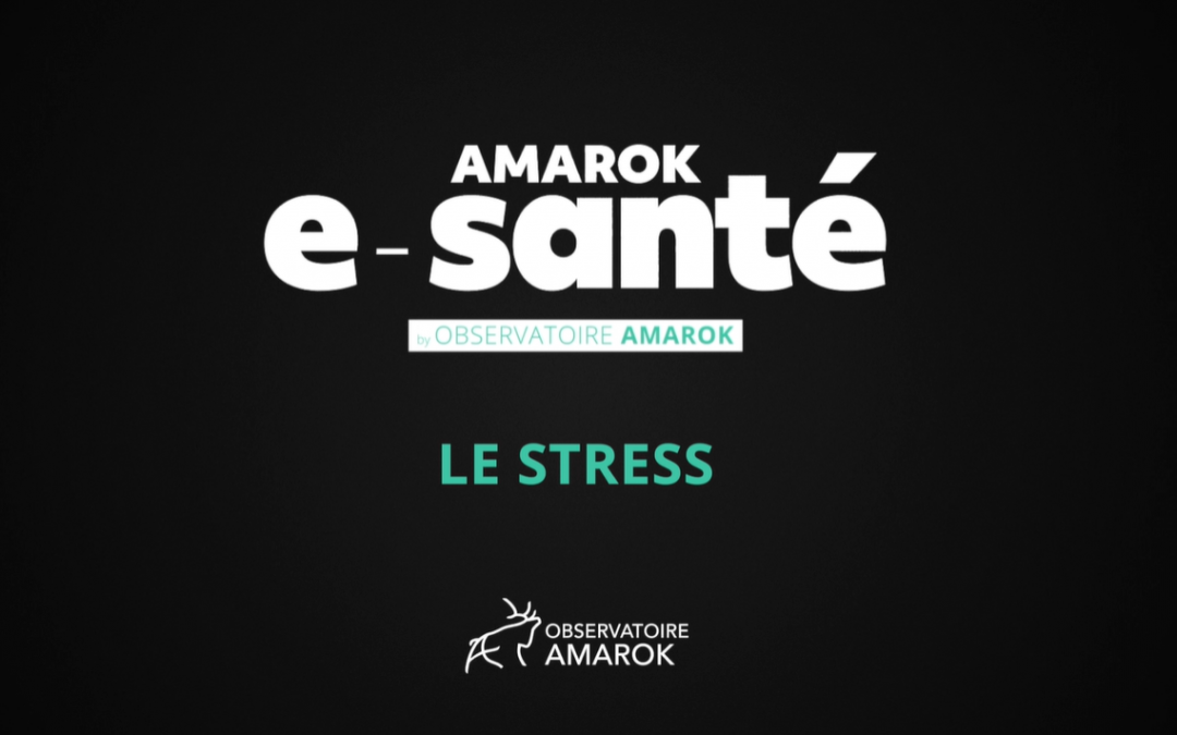 VIDÉO : Le stress des dirigeants
