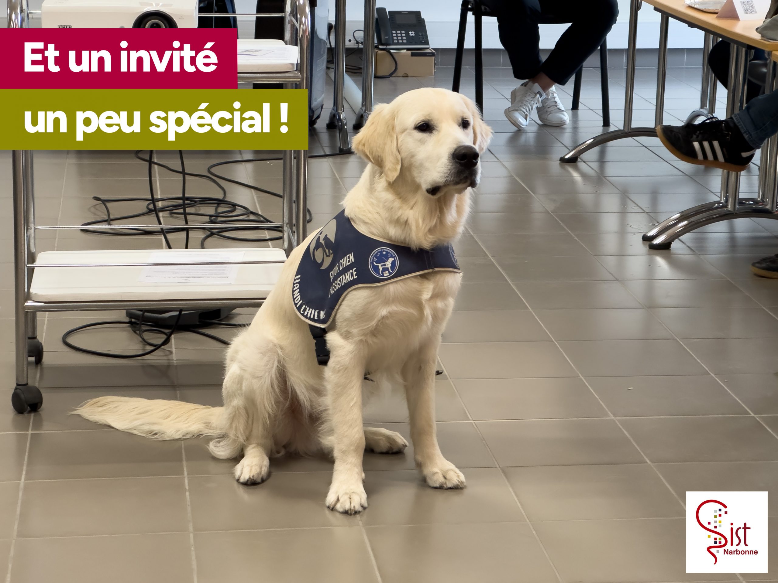 Les sensibilisations du mois de septembre au SIST Narbonne — image 1