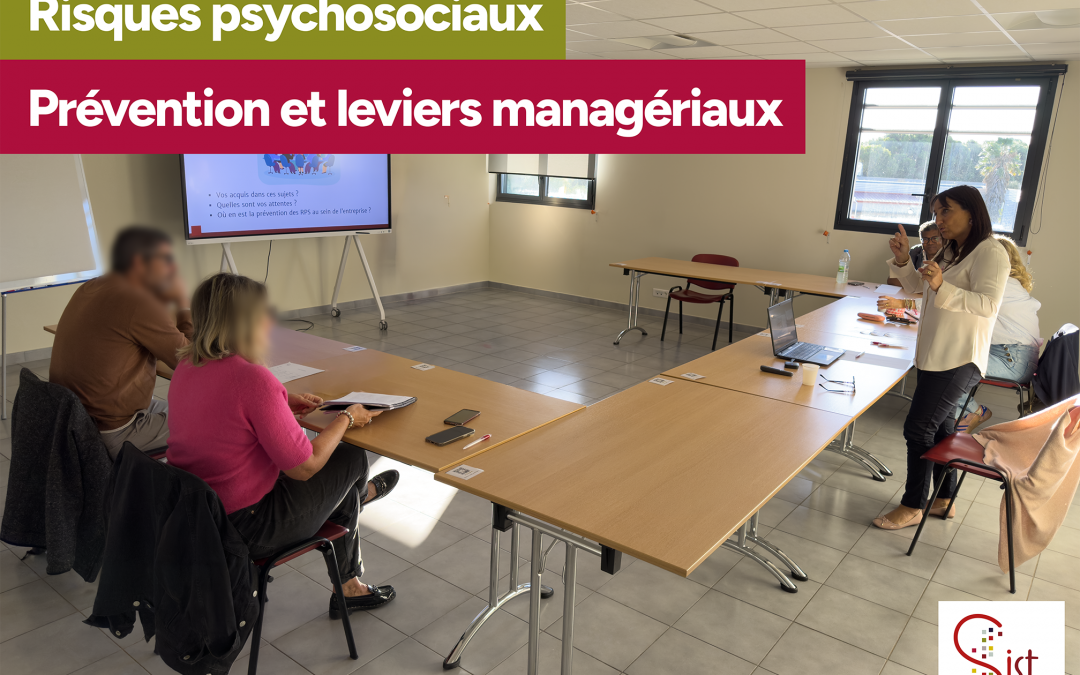 Retour sur : RPS, prévention et leviers managériaux
